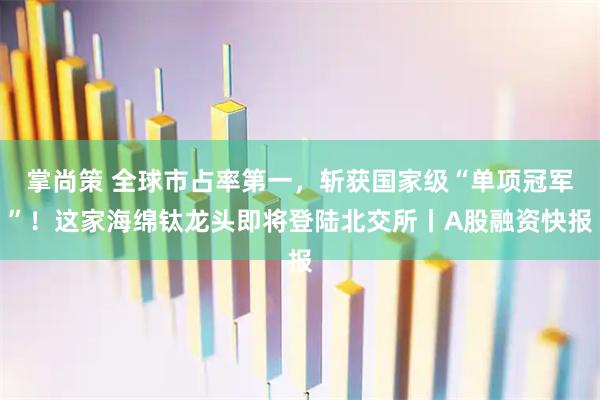 掌尚策 全球市占率第一，斩获国家级“单项冠军”！这家海绵钛龙头即将登陆北交所丨A股融资快报