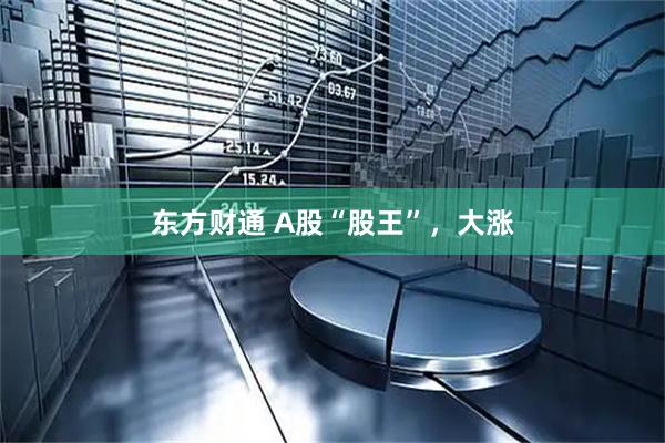 东方财通 A股“股王”，大涨